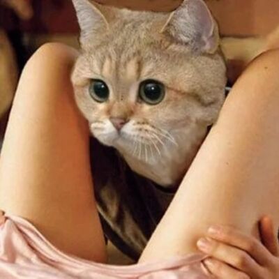 original photo thumb 1920 1b59a7d0 3947 11eb 8068 ee219b3c27b4 Thumbnail